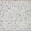 Carpenter's New Specimen book