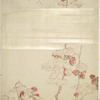 Plum blossoms