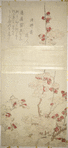 Plum blossoms