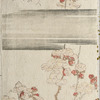 Plum blossoms