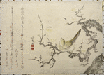 Plum blossom and bird