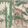 Bamboo / pine