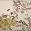 Plum blossoms, dandelion and Sakuraso