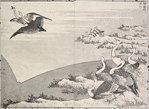 Hundred Views of Mount Fuji