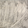 Hundred Views of Mount Fuji
