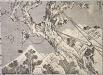 Hundred Views of Mount Fuji