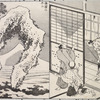 Hundred Views of Mount Fuji
