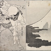Hundred Views of Mount Fuji