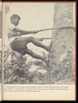 Duee, a Boy of Liberia