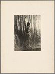 Dollar, William (in Errante)