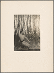 Dollar, William (in Errante)