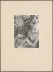Annada Charan Bhattacharayya and Rajendra Shankar