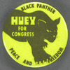 Black Panther: Huey for Congress, BU. X.427