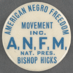 American Negro Freedom Movement Inc.