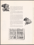 Nutcracker souvenir book