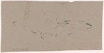 Act I: Stencil pattern of lace motif for living room scene