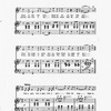 The New York musical echo 