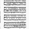The New York musical echo 