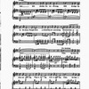 The New York musical echo 