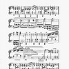The New York musical echo 