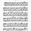 The New York musical echo 