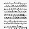 The New York musical echo 