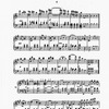 The New York musical echo 