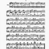 The New York musical echo 