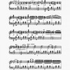The New York musical echo 