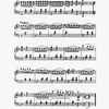 The New York musical echo 
