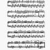 The New York musical echo 