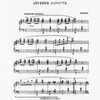 The New York musical echo 
