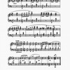 The New York musical echo 