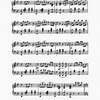 The New York musical echo 