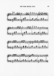 The New York musical echo 