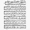 The New York musical echo
