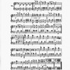 The New York musical echo