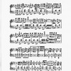 The New York musical echo