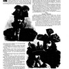 The New York musical echo