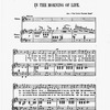 The New York musical echo