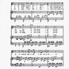 The New York musical echo