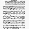 The New York musical echo