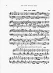 The New York musical echo
