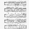 The New York musical echo