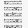 The New York musical echo