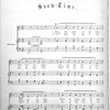 The musical world