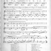 The musical world