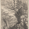 Landscape with a Willow