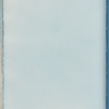 Calothrix confervicola