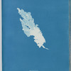 Ulva Linza